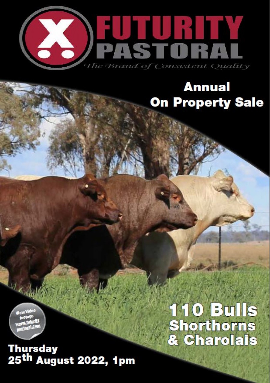 2022 Bull Sale